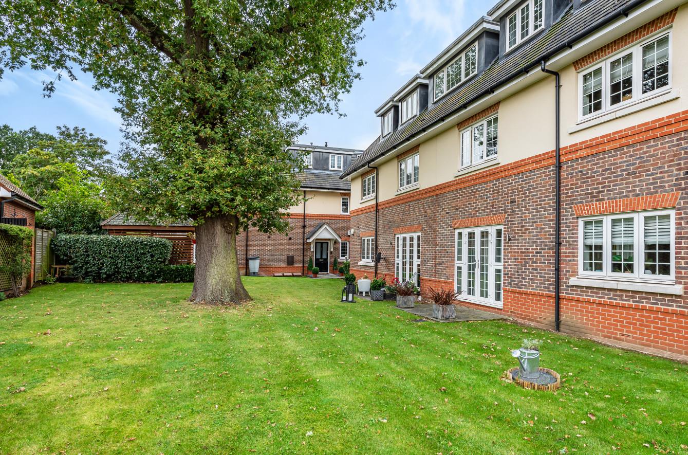 Property Image 18