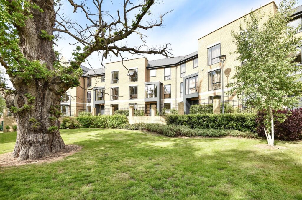 Property Image 25